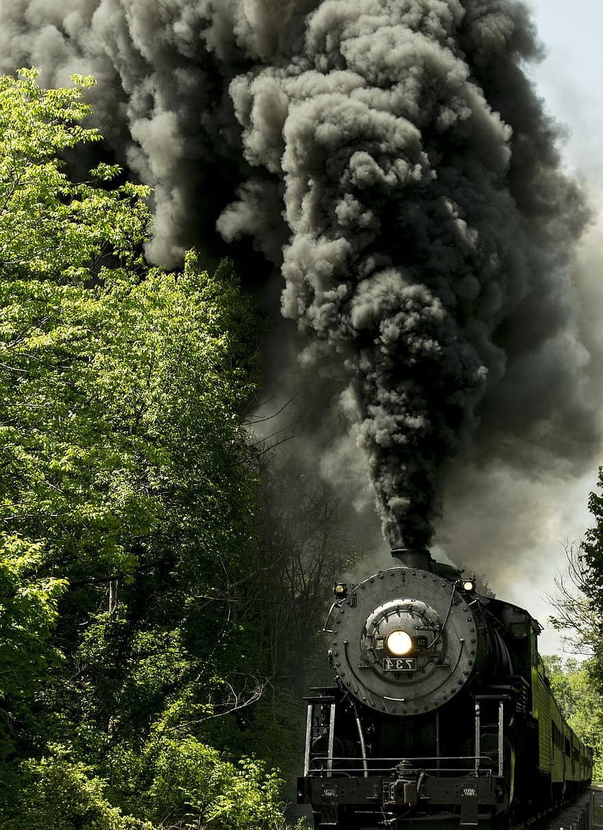 vlak, kouř, pára, fyzická struktura, parní vlak, uhlí, starý, lokomotiva, průmysl, les, pohyb
