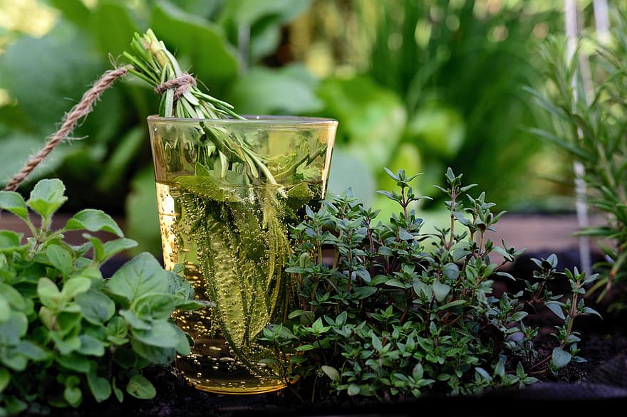 билки, вода, стъкло, градина, листа, лечебни билки, кулинарни билки, здрав, растения, природа