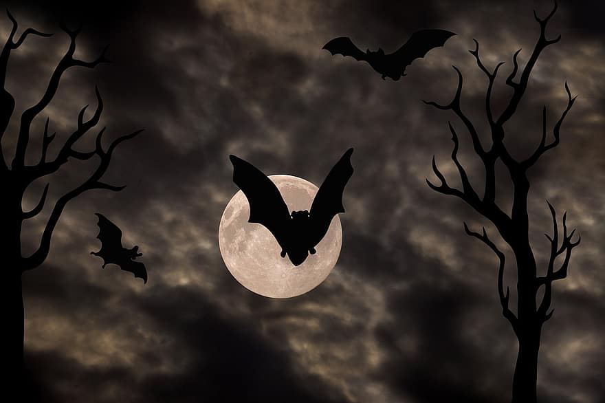 Halloween, trist, lluna plena, arbre, bat, celebració, festa, pòster, místic, món de fantasia, gràfics fotogràfics
