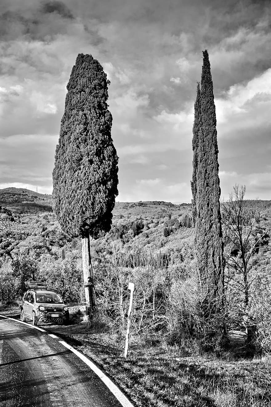 тоскана, сільській місцевості, оливкові дерева, дерева, Італія, дерево, краєвид, сільська сцена, чорний і білий, подорожі, хмара