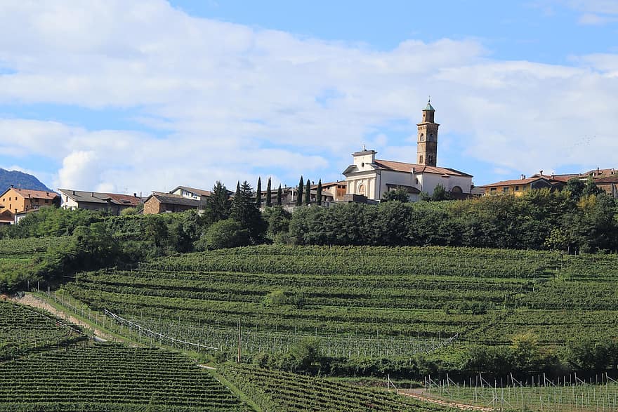 vīna dārzs, pilsēta, Itālija, vīnogas, stādījumu, vīnkopība, ainavu, laukos, vīnogu audzēšana, kalna malā, lauksaimniecību
