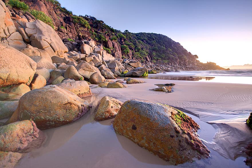 strand, kyst, klipper, solopgang, sand, hav, ocean, natur, daggry, sydvestlige klipper, New South Wales