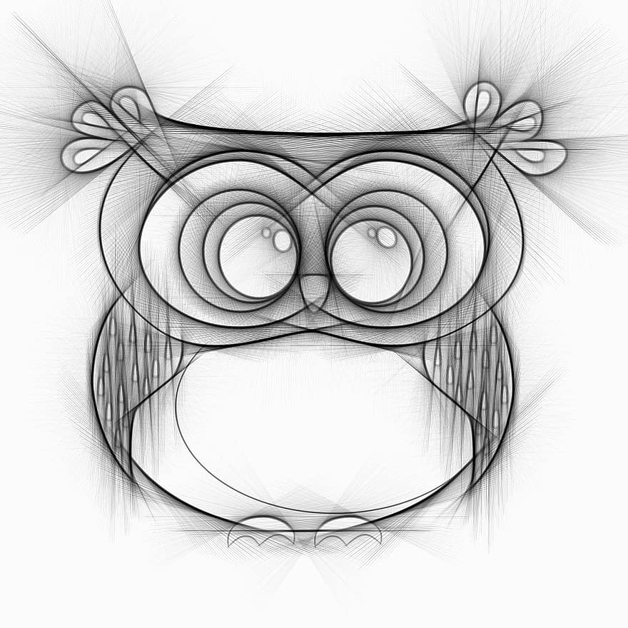 Owl, Bird, Drawing, Pencil