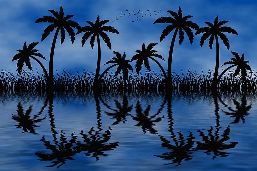 Пальма, природа, остров, ладони, летом, море, день отдыха, рай, тропический