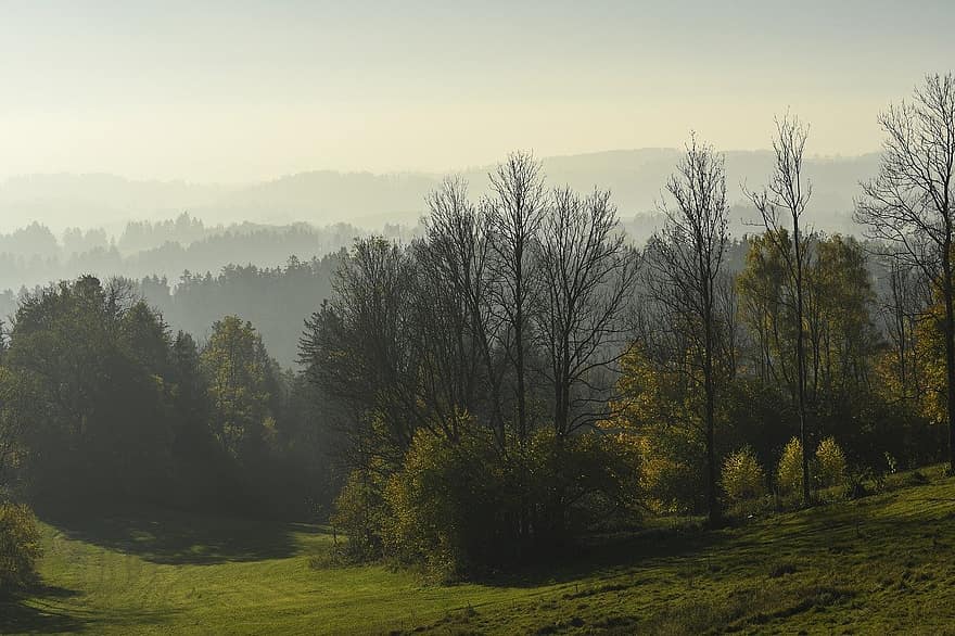 природа, горы, туман, деревья, лес, пейзаж, декорации, дорожка, леса, Mühlviertel, Австрия