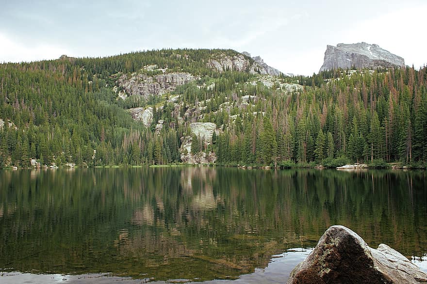 Montagne, forêt, des arbres, Lac, réflexion, rocheux, Colorado, nationale, parc, la nature, de plein air