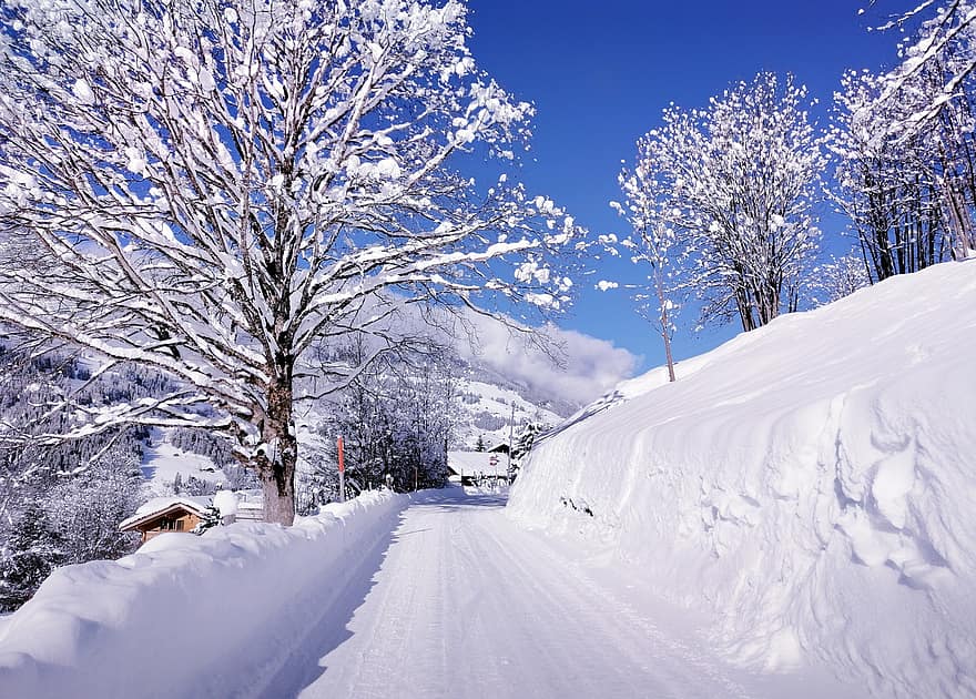 природа, зима, время года, деревья, сельская местность, на открытом воздухе, дорожка, снег, лес, дерево, пейзаж