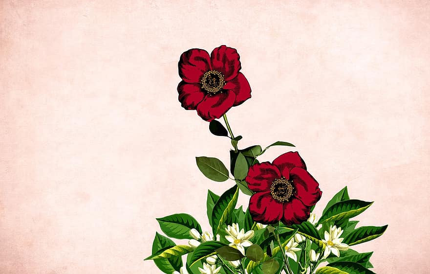 Flower, Floral, Background, Vintage, Card, Art, Design, Hand Made, Sketch, Celebration, Bouquet
