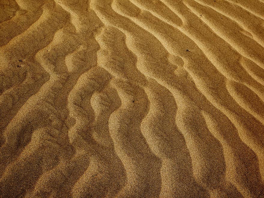 Desierto, arena, duna, viaje