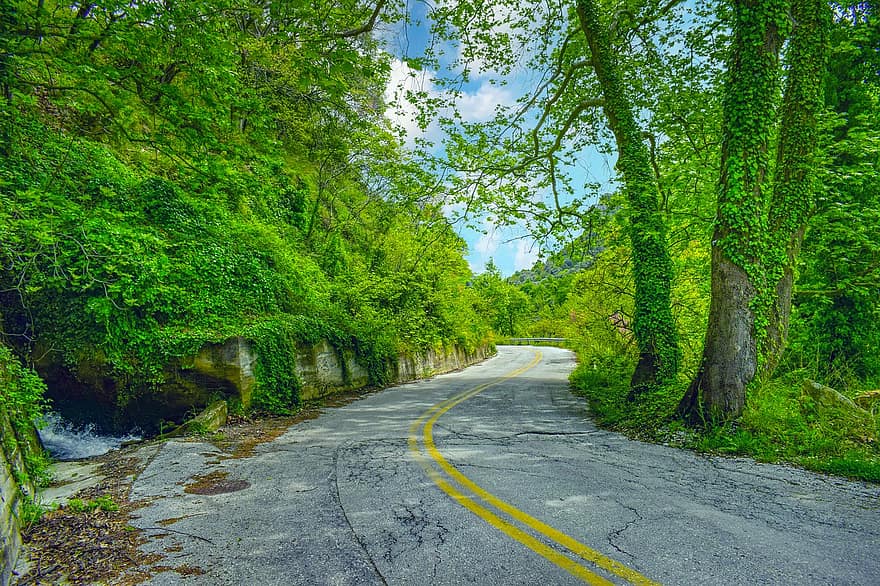 Road, Trees, Scenery, Rural, Scenic, Countryside, forest, tree, green color, summer, rural scene