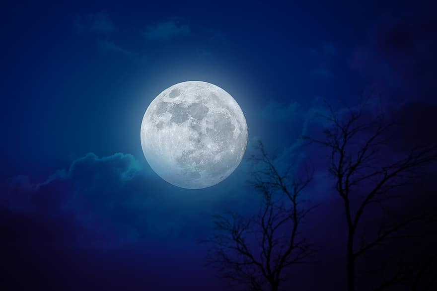 Luna, cielo, spazio, albero, luce lunare, fantasia, notte, chiaro di luna, astronomia, blu, pianeta