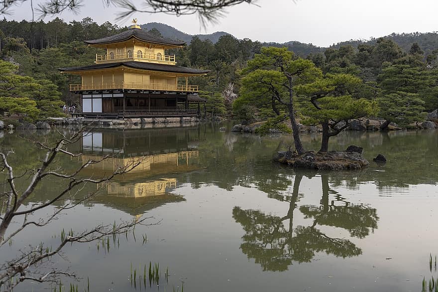 kyoto, palota, tavacska, Kinkakudzsi, kastély, Japán, ég, japán, utazás, fa