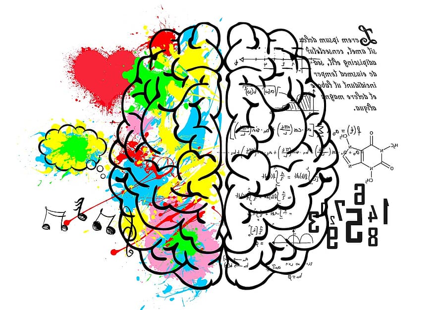 Gehirn, links, Logik, Sprache, Wissenschaft, zahlen, Mathematik, Rede, Recht, Kreativität, künstlerisch