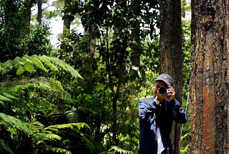 muž, les, fotografování, dobrodružství