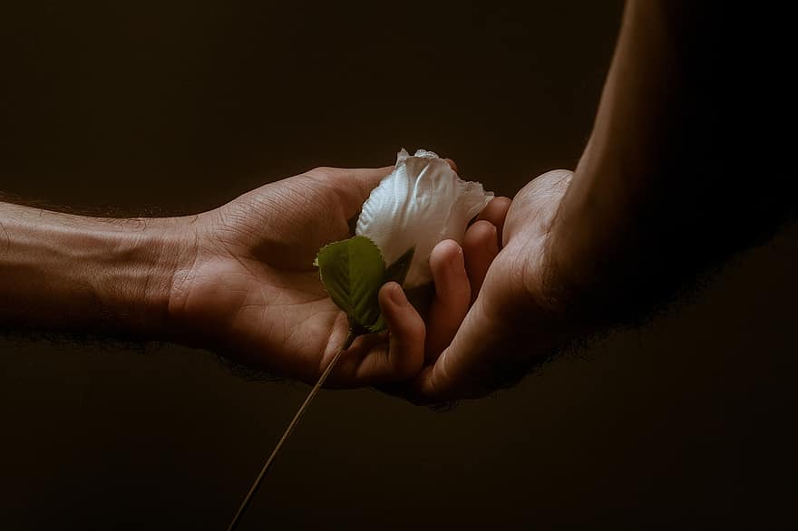 kwiat, Róża, miłość, para, razem, ślub, sztuka, cicha sympatia, połączenie, romantyk, romans