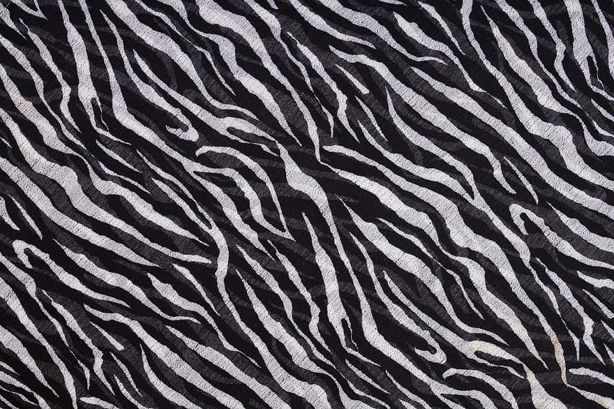 Fons Zebra, impressió zebra, teixit, patró zebra, Patró d'impressió zebra, Fons de pantalla de tela, fons de tela, fons, drap, textura