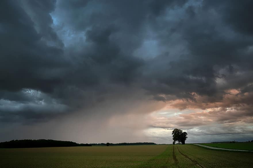 Thunderstorm, Lightning, Rain, Nature, Weather, Clouds, Field, Horizon