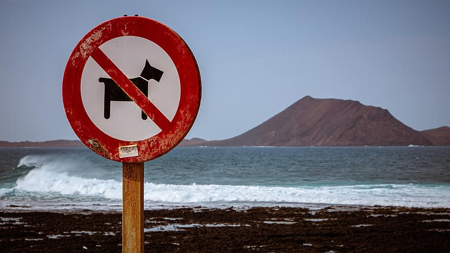 απαγόρευση σκύλου, παραλία, νησί, διακοπές, bolivar, fuerteventura, σημάδι, νερό, προειδοποιητική πινακίδα, πινακίδα, σύμβολο