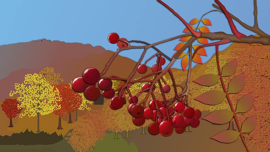 natural, paisaje, planta, otoño, hojas otoñales, paisaje de otoño, fruta roja, hoja, madera, caída de japón, estacional