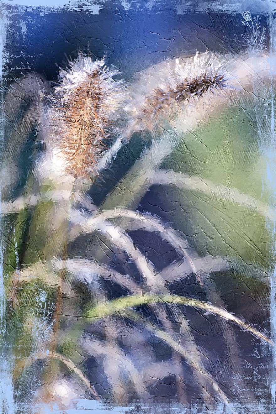 Grasses, Meadow, Plant, Growth, Macro, Nature, Painting, Creativity