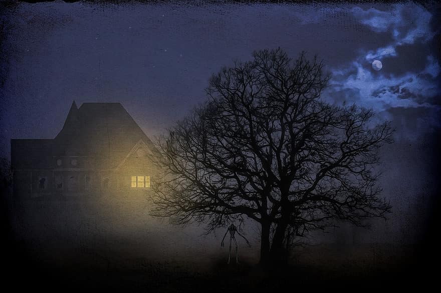 ponury, ciemny, mistyczny, noc, drzewo, księżyc, pełnia księżyca, mgła, przerażenie, dom, sylwetka