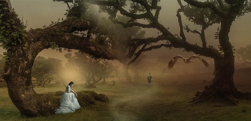 Fantazja, kobieta, smutek, samotność, sowa, mężczyzna, mgła, zamglenie, las, mistyczny, tajemniczy