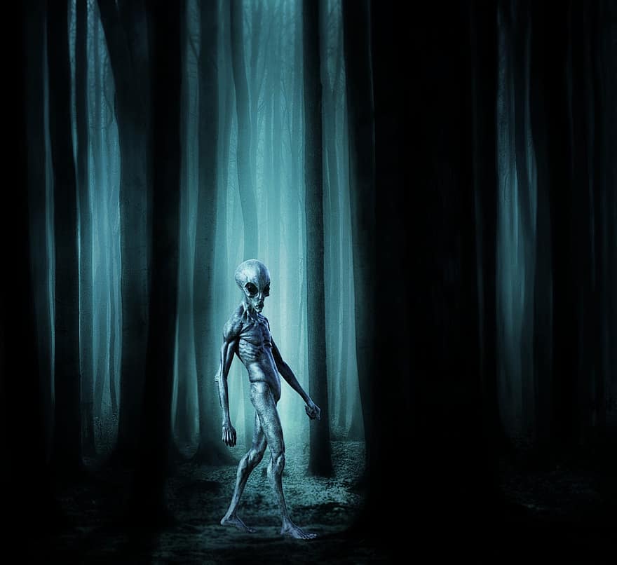 Alien, Trees, Forest, Horror, Fantasy, 3d, Creature, Ufo