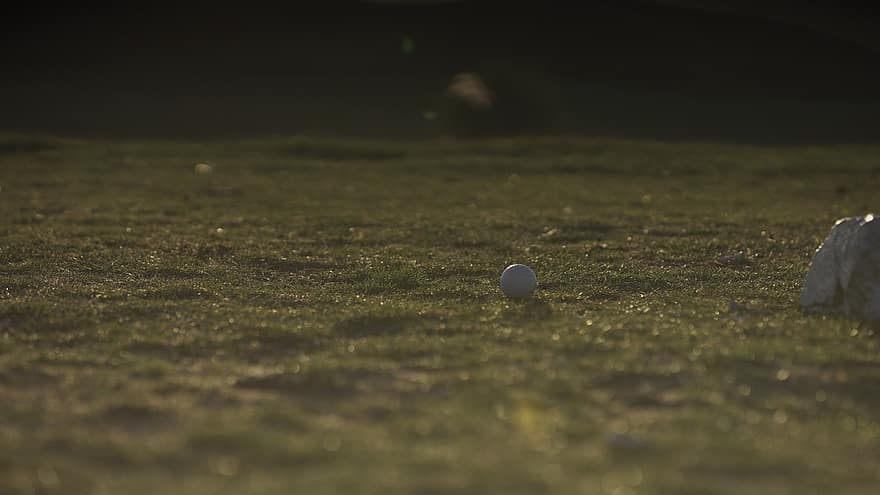 трави, м'яч, гольф, зелений, суд, спорт, поле, туман, схід сонця