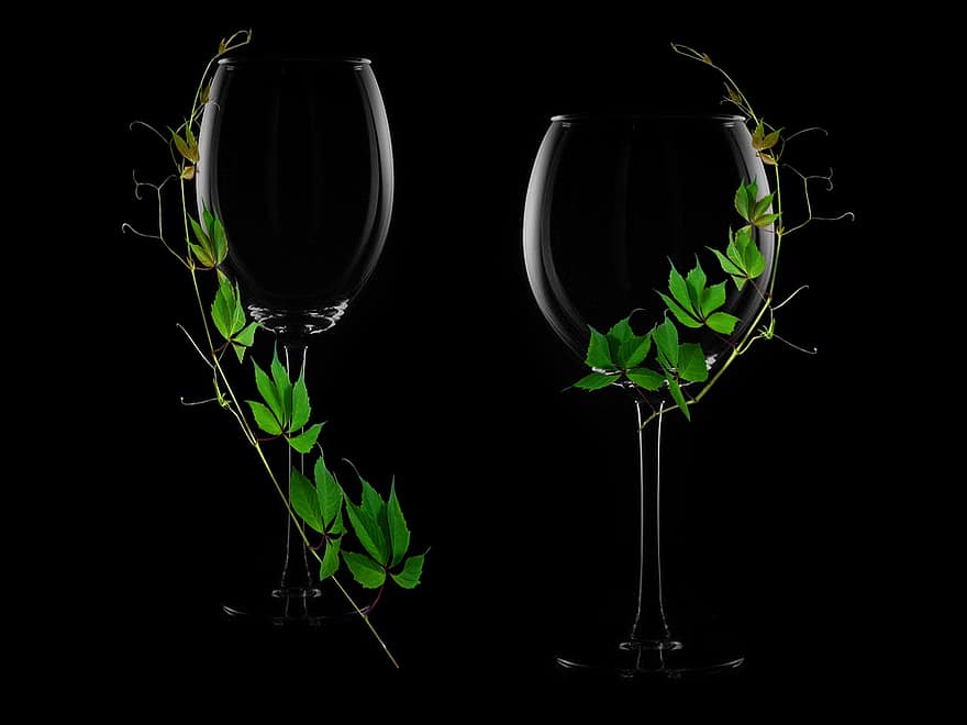 akiniai, vynmedžiais, augalai, puodeliai, vyno taurės