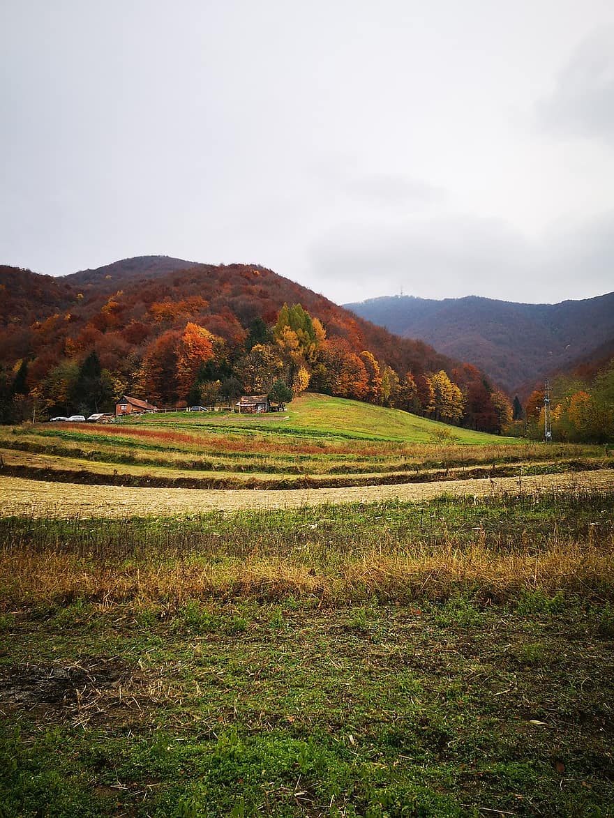 Hill Pat, kelias, kalnas, miškas, miškai, ruduo, spalvingas rudens, rudens spalvos, kaimo scenoje, žolė, žalia spalva