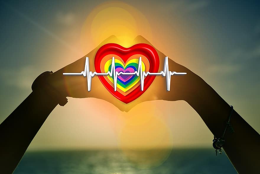 coração, saúde, pulso, frequência cardíaca, protecção, Cuidado, investigação, médico, por do sol, mãos, amor