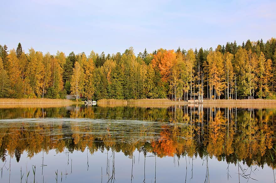 езеро, природа, дървета, вода, отражение на водата, шума, есен, падане, гора