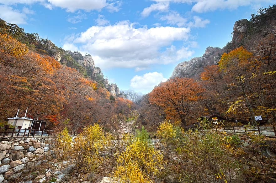 park, stromy, listy, podzimní listí, podzim, Mt Seolark