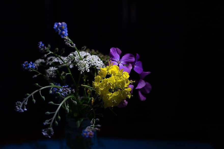 fleurs, fond sombre, bouquet, fleur, plante, violet, fermer, tête de fleur, pétale, été, bleu