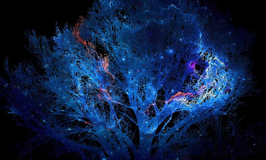 koks, naktī, zvaigznes, tumšs, nakts debesis, debesis, filiāles, raksturs, abstrakts, fona, zils