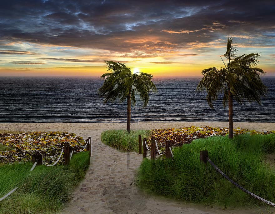 Seascape, Landscape, Beach, Fantasy, Sand, Path, Sunset, Palm Trees, Plants, Ocean, Dock