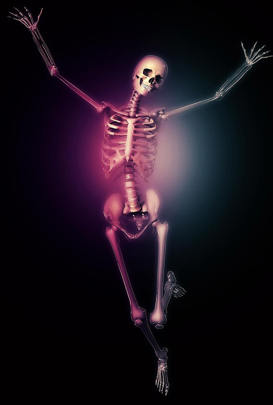 esqueleto, néon, tolet, cor, fundo preto, rosa, dia das Bruxas, sorriso, ossos