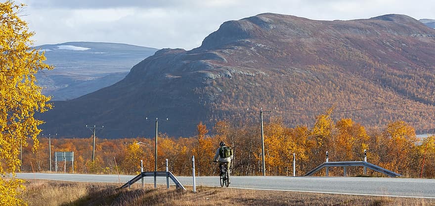 pobūdį, važiuoti, dviračiu, kelionė, žvalgymas, ruduo, rudenį, sezoną, lauke, kraštovaizdį, Laplandija