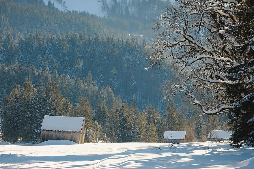 natur, alpine hytte, vinter, snø, skog, fjell, tre, landskap, frost, årstid, landlige scene