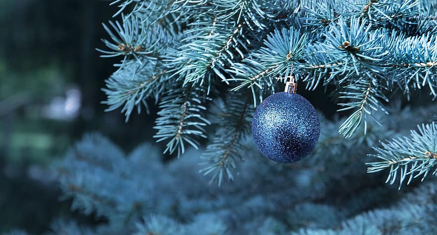Navidad, árbol, chuchería, bola, Bola navideña, árbol de Navidad, adorno navideño, Decoración navideña, decoración, ornamento, fondo de navidad