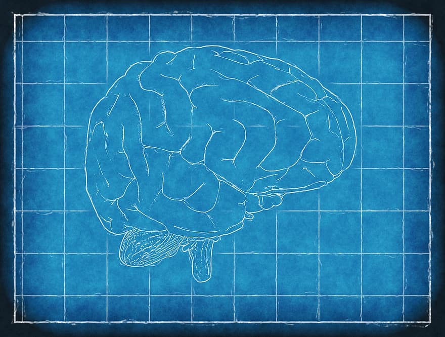 hjerne, blueprint, tænker, analyse, intelligens, Blå hjerne, Blå tænkning