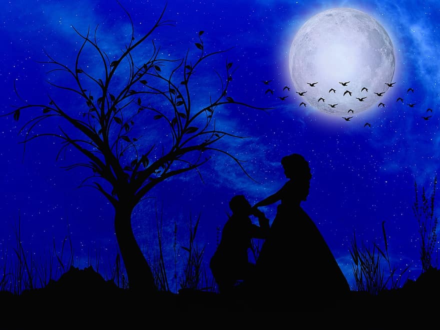 Love, Proposal, Romantic, Couple, The Night, Night, Moon, Silhouette, Relationship, Commitment, Propose