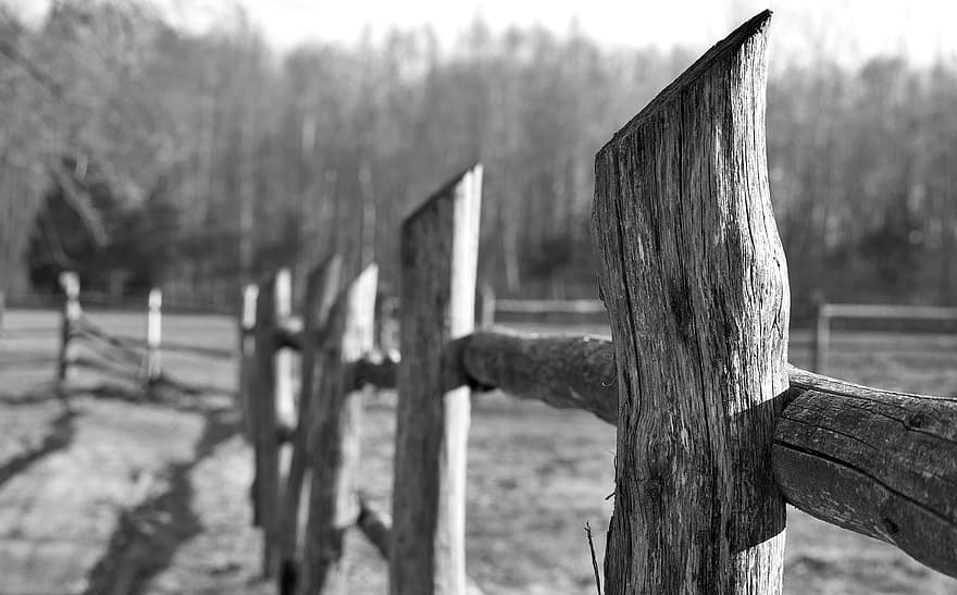 plot, dřevo, louka, hospodařit, starý, strom, krajina, tráva, venkovské scény, zaměřit se na popředí, Černý a bílý