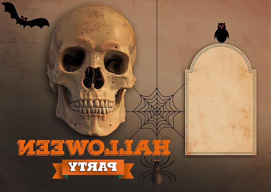 Halloween, fête, affiche, invitation, Festival, mémento mori, crâne et os croisés, fugacité, mystique, mortel, crâne