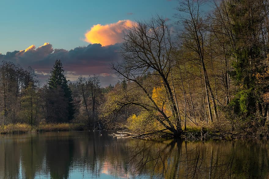 jezero, les, západ slunce, Příroda, krajina, podzim, podzimní barvy
