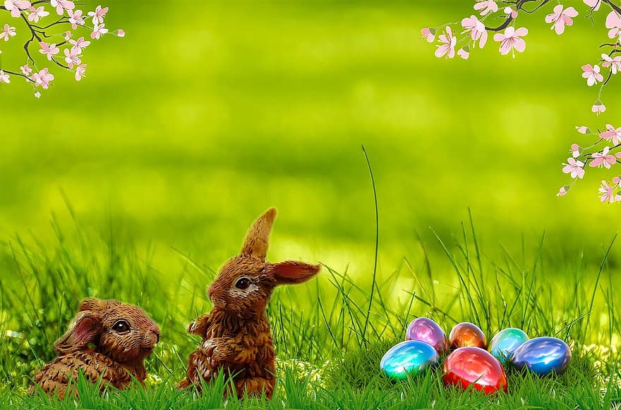 Paskah, musim semi, kelinci Paskah, Telur Paskah, sarang paskah, alam, rumput, halaman rumput, kartu paskah, salam, kartu ucapan