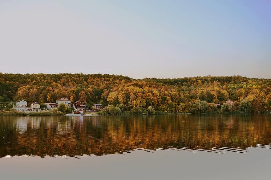 río, otoño, bosque, arboles, agua, árbol, paisaje, reflexión, escena rural, amarillo, verano