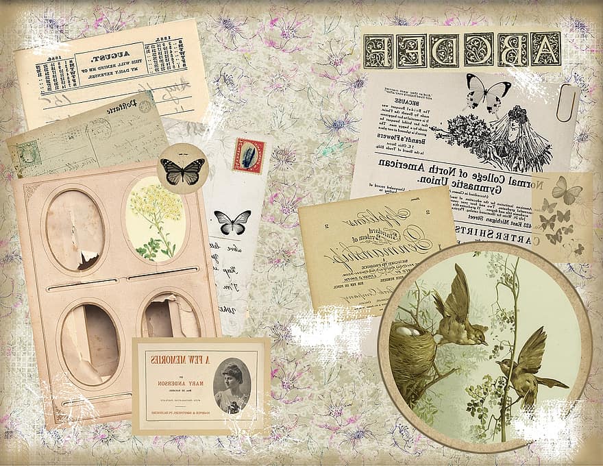 Vogel, Brief, Schmetterling, Sammelalbum, Papier-, Hintergrund, Alphabet, Rahmen, Antiquität, grungy, Hintergründe