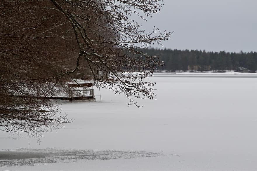 озеро, замороженный, снег, замерзшее озеро, зима, лед, холодно, настроение, тихо, пирс, ветви