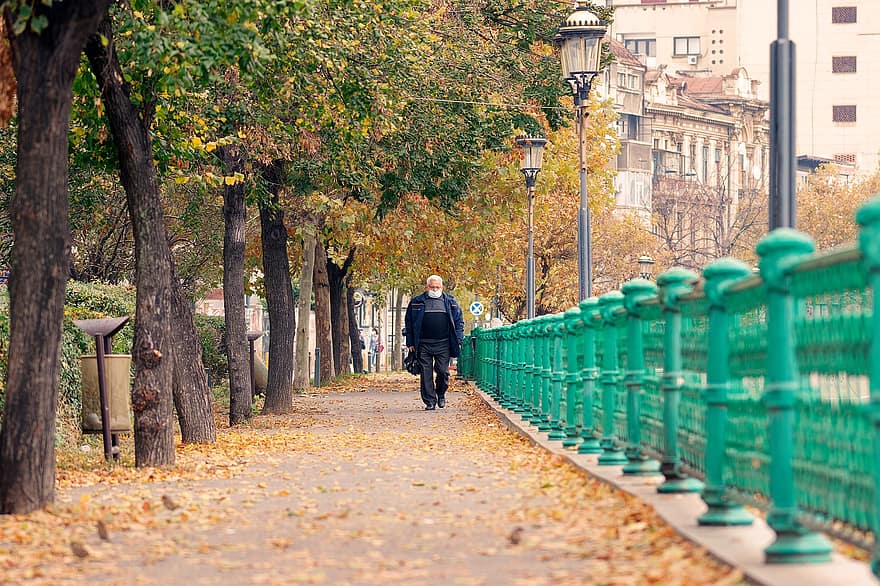 мъж, възрастен, маска, ходене, тротоар, улица, есен, дървета, хора, дърво, листо